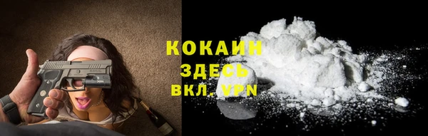 прущие грибы Белоозёрский