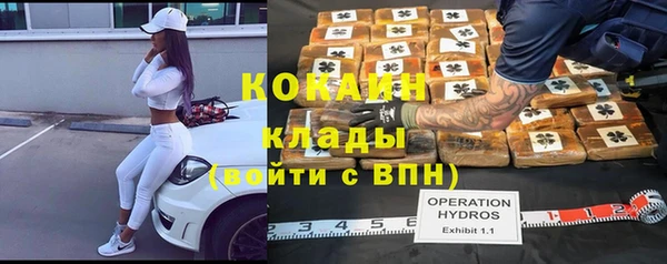прущие грибы Белоозёрский
