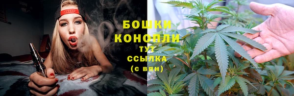 прущие крисы Беломорск